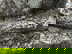 item-208672325=18