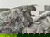 item-208672373=14