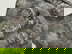 item-208672373=19