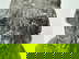 item-208672440=13