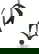 item-208761171=2