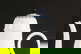 item-208762214=5