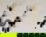 item-208790160=5