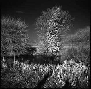 West Thorpe III, Suffolk [Infrared Film] - Silver Gelatin: Title: West Thorpe III, Suffolk [Infrared Film] - Silver Gelatin Photograph - Limited Edition of 10 Artist: Paul Cooklin Origin: United Kingdom Medium: Photography, Gelatin on Paper Dimensions: 16 W x