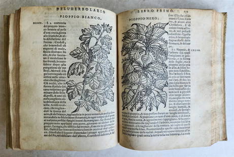1561 PHARMACOPEIA ILLUSTRATED MEDICAL PLANTS by SANSOVINO antique 16th CENTURY: DELLA MATERIA MEDICINALE libri quattro (four books on medicinal mattrer) by Sansovino, Francesco Venice, Valvassori; 1561 Printer's mark on the title page, woodcut friezes and drop caps, numerous