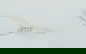 item-208956763=2