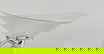 item-208956779=1