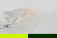 item-208956779=5