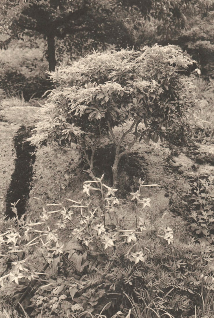 LEE FRIEDLANDER - New York City, 1976 (1 of 1)