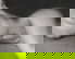 item-208970133=1