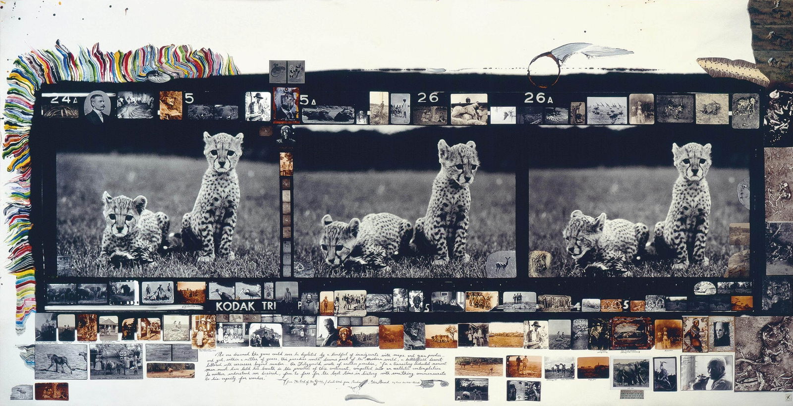 Peter Beard 'Orphaned Cheetah Cubs' Print: Description: Peter Beard 'Orphaned Cheetah Cubs' Print measuring at 14x20 inches Date/Period: 1968 Materials: Fine Art Paper Additional Information: Possible Reproduction/Printed Later Reserve: $50.00