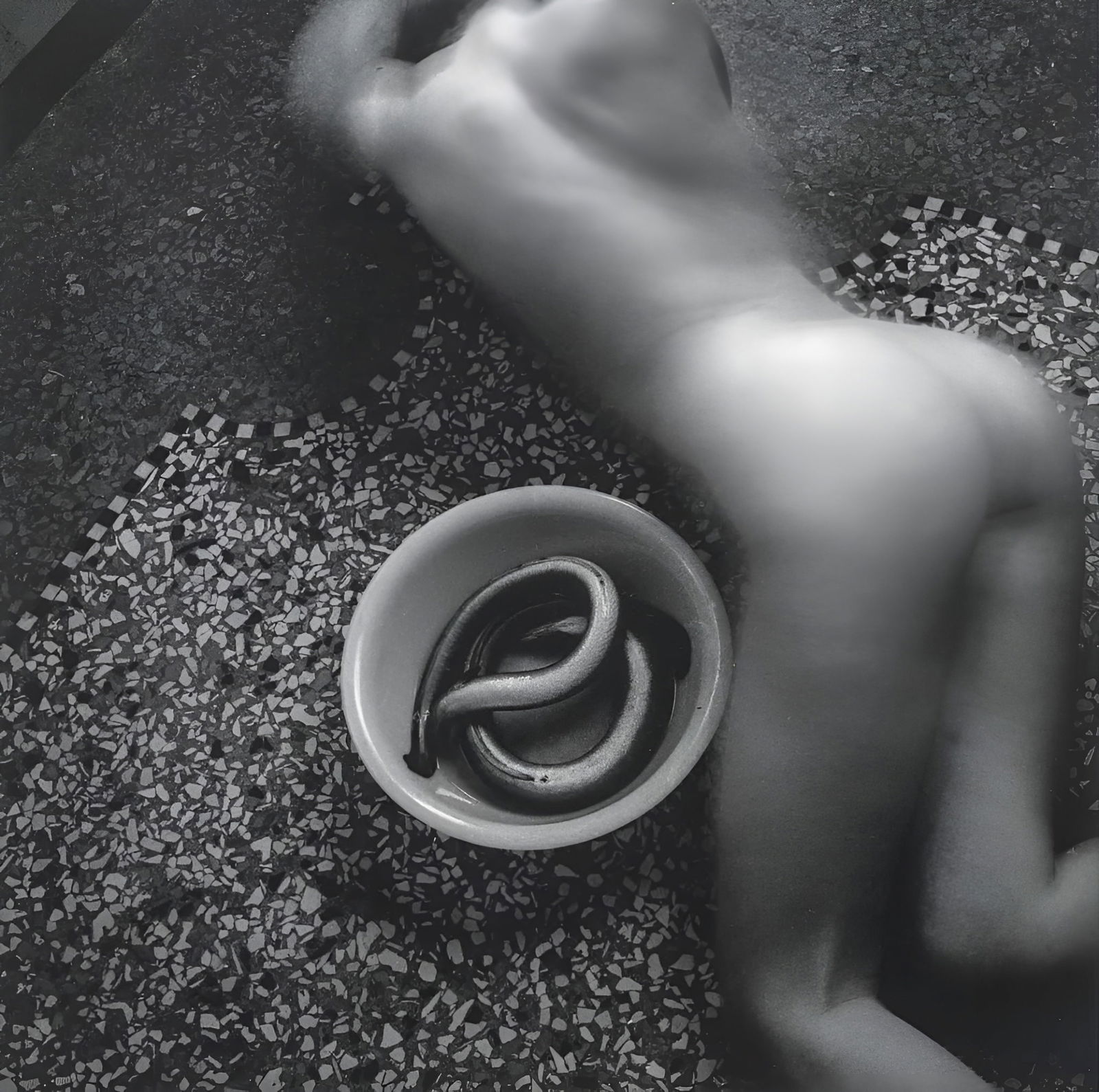 Fransesca Woodman 'Venice Eel' Mounted Print (1 of 2)