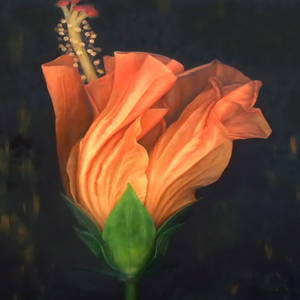 Grace Absi Hibiscus Giclee Signed & Numbered