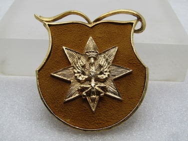 Vintage Crowned Eage Shield Brooch, 1960's-1970's