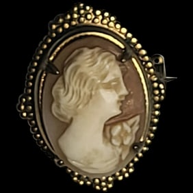 Vintage Ornate Cameo Pin/Brooch