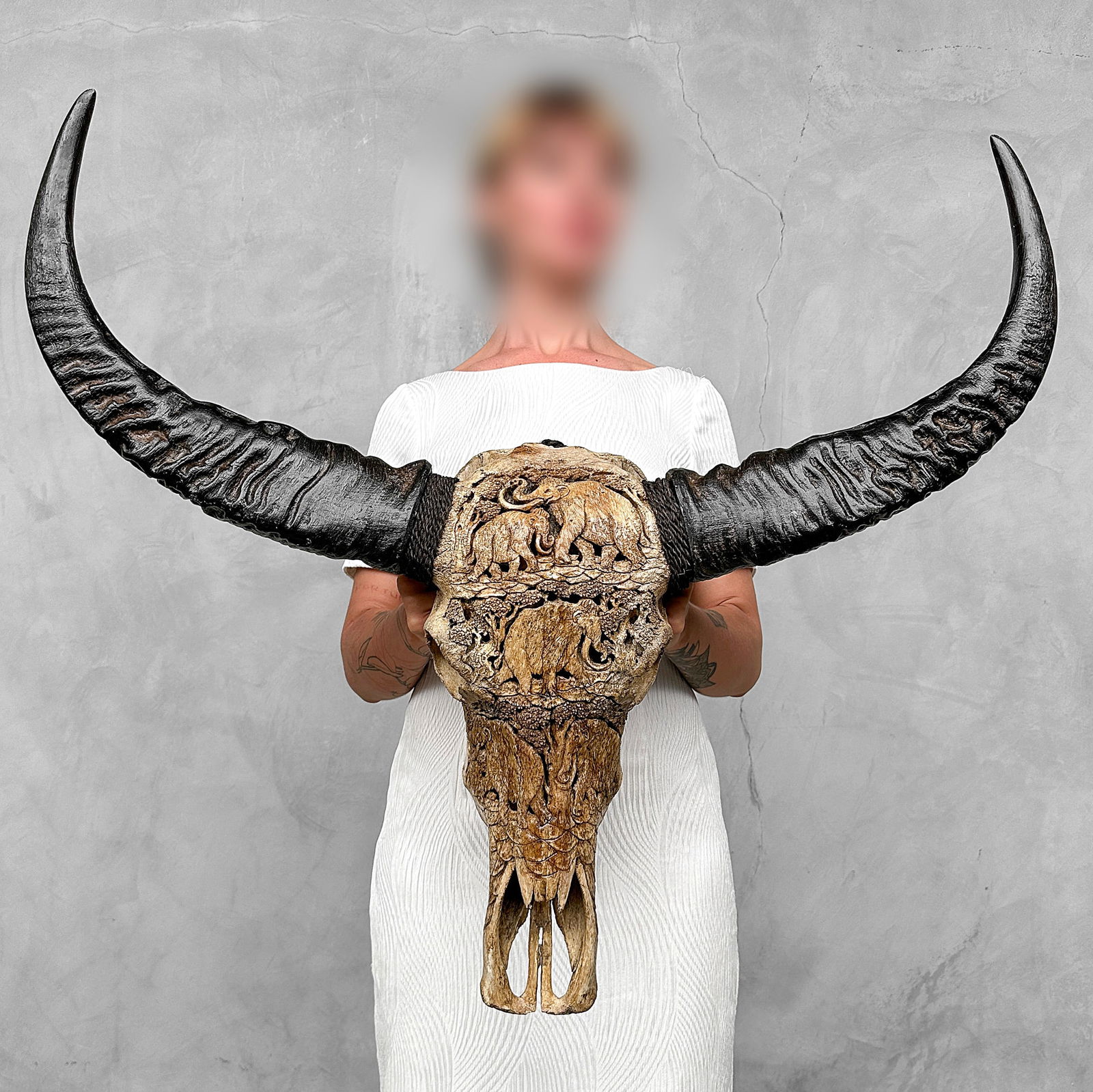 Water buffalo skull with unique horns - Elephants motif (1 of 10)