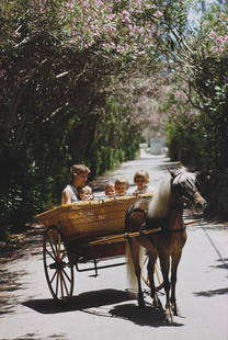 Oleander Drive ' By Slim Aarons C Type: Description ' Oleander Drive ' by Slim Aarons A family in a pony and trap take a drive along a road lined with oleanders in Bermuda, 1967. (Photo by Slim Aarons/Getty Images) Paper size 12 x 16