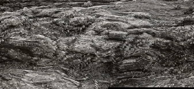 Unforgiven By Stuart Möller (20x16" Signed Limited Edition Print Framed In Black): Description Unforgiven by Stuart M&#246;ller Rocks and cacti near a coastline. (Photo Stuart M&#246;ller) Unframed Archival Pigment Print, signed and numbered by the artist. Limited to 5 in this size
