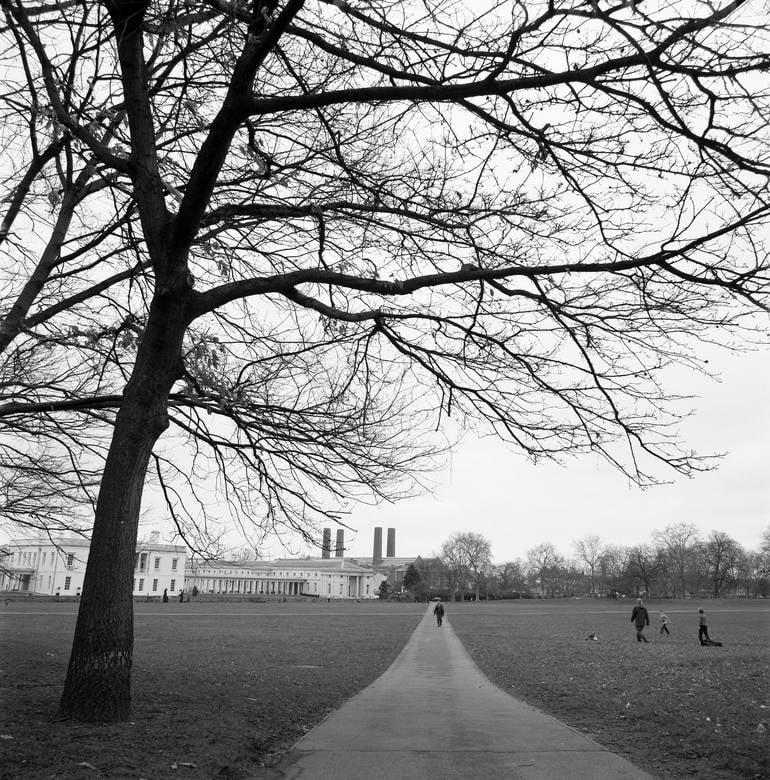 Greenwich Park, London - Silver Gelatin: Title: Greenwich Park, London - Silver Gelatin Photograph - Limited Edition of 10 Artist: Paul Cooklin Origin: United Kingdom Medium: Photography, Black & White on Paper Dimensions: 20 W x 20 H x 0.1 