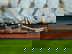 item-209937344=1