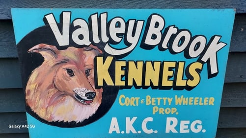 1950 AKC Kennels Collie Valley Brooks Hand Painted On Board