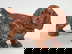 item-210004929=2