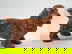 item-210005111=1