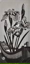 Okuyama: Irises