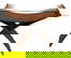 item-210266630=4