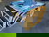 item-210266773=4