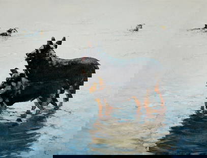 Oil painting Dog fate Oleg Kateryniuk: №Kat 45 "Dog Fate" is a poignant and evocative oil painting that captures a serene yet thought-provoking moment featuring a group of dogs in and around a body of water. The composition prominent