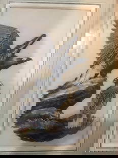 Eagles - Feathers Art - Framed: Eagles - Feathers Art - Framed, Please refer to the attached photos to determine the condition of this original vintage item. Note: LB means Linen Backed. Ready for you to frame! Reserve: $387.00 Ship