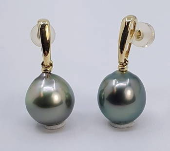 10x11mm Peacock Tahitian Pearl Drops - Earrings - 14 kt. Yellow gold: Title: 10x11mm Peacock Tahitian Pearl Drops - Earrings - 14 kt. Yellow gold Description: Produced by the Pinctada Margaritifera oyster in the tropical lagoons of French Polynesia, these pearls been ha