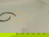 item-210527116=3