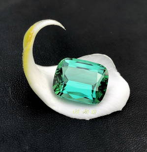 Premium Quality Natural Blue Green Tourmaline From Afghanistan: Details SKU Dimensions (mm) 18.920 x 15.000 x 10.210 mm Weight (cts) 23.420 Treatment No Treatment Shape Fancy Type Faceted Colours Description Tourmali