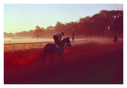 Mountain Top By Toni Frissell Archival Pigment Print Oversize Framed In Black: Description An early morning ride out at the Saratoga race course, USA, 1960.(Toni Frissell) 30 x 40 inches / 76 x 101 cm paper size Archival Pigment Print Framed in solid black wood frame with mount