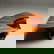 item-210871713=7