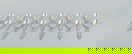 item-210901144=1