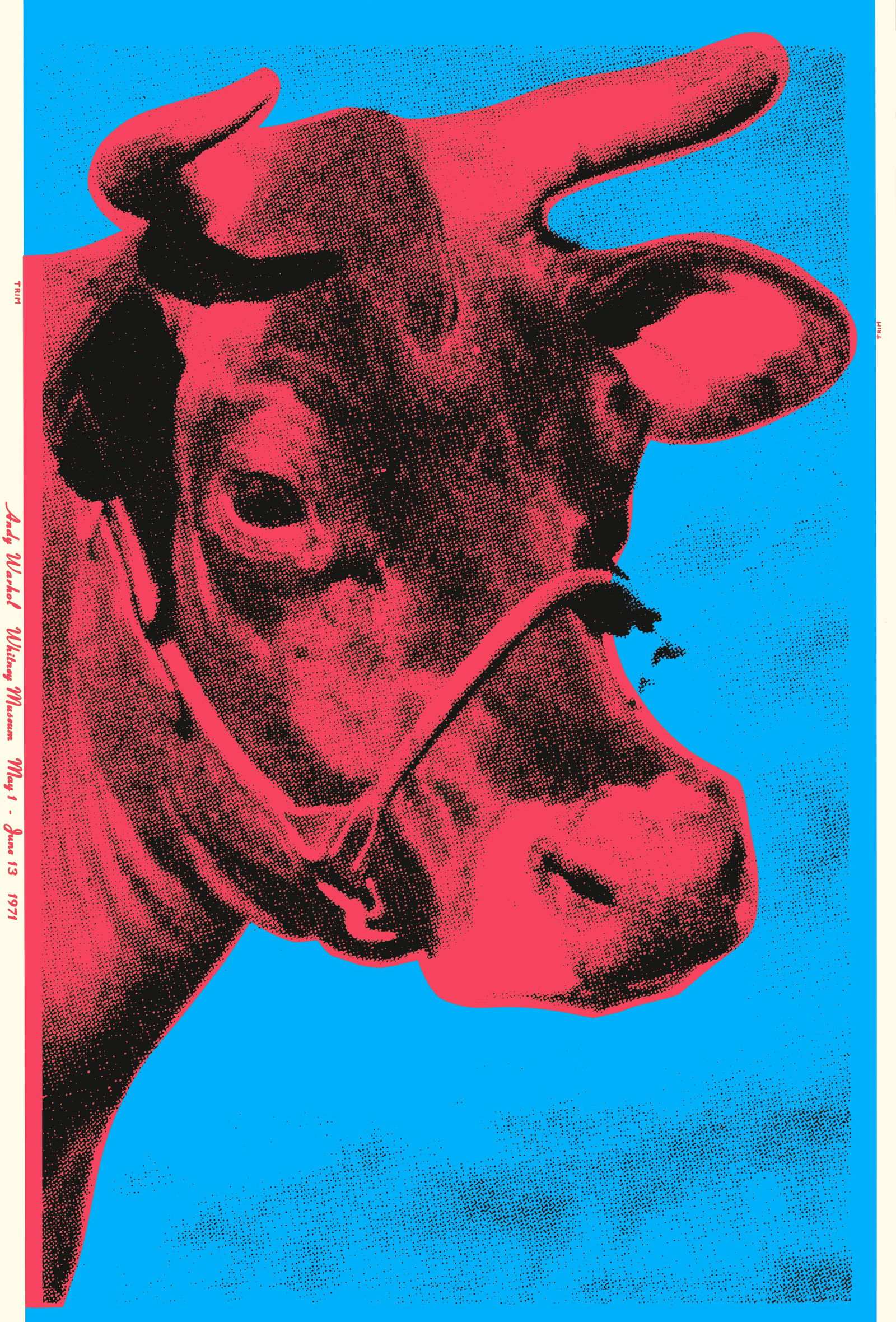 Andy Warhol Cow Poster: Description: Andy Warhol Cow Poster measuring at 46x29 inches Date: 1971 Material: Fine Art Paper Additional Information: Possible reproduction/printed later. Reserve: $90.00 Shipping: Domestic: Flat-