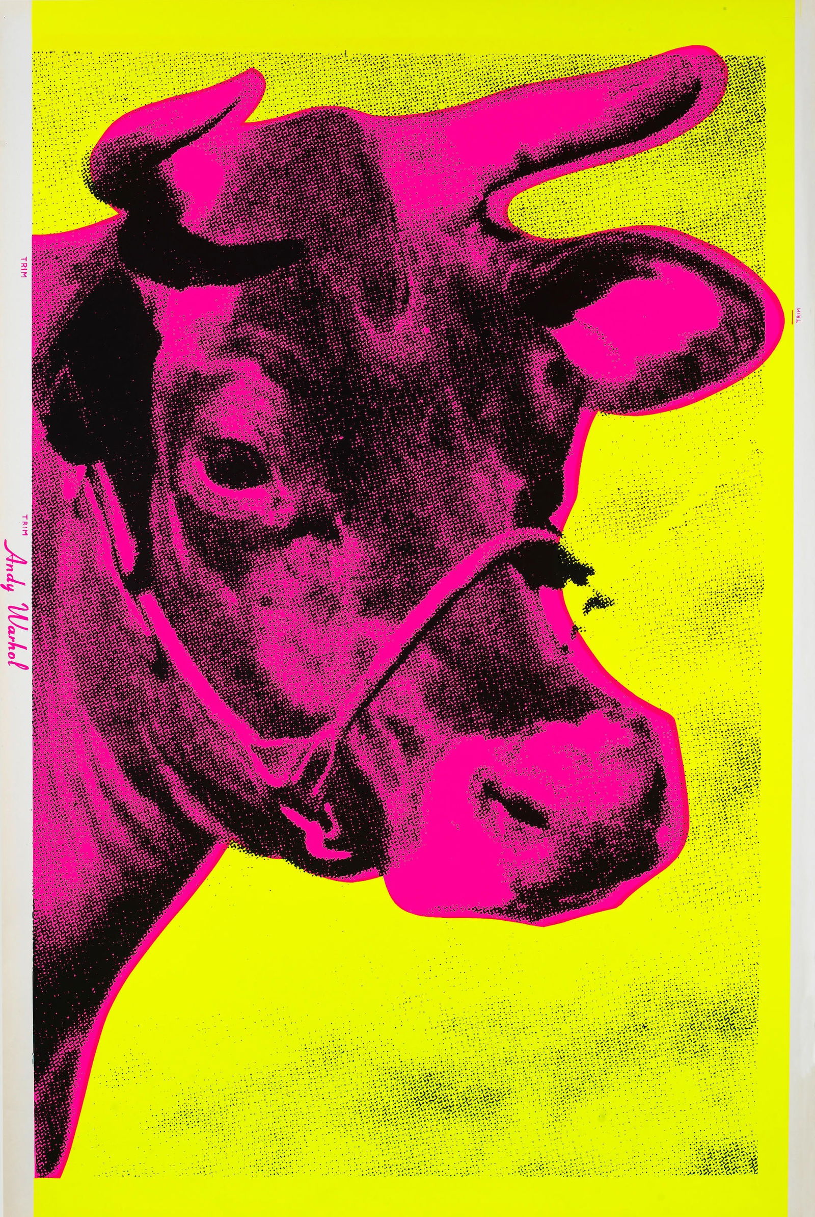 Andy Warhol Cow Poster: Description: Andy Warhol Cow Poster measuring at 46x29 inches Date: 1971 Material: Fine Art Paper Additional Information: Possible reproduction/printed later. Reserve: $90.00 Shipping: Domestic: Flat-