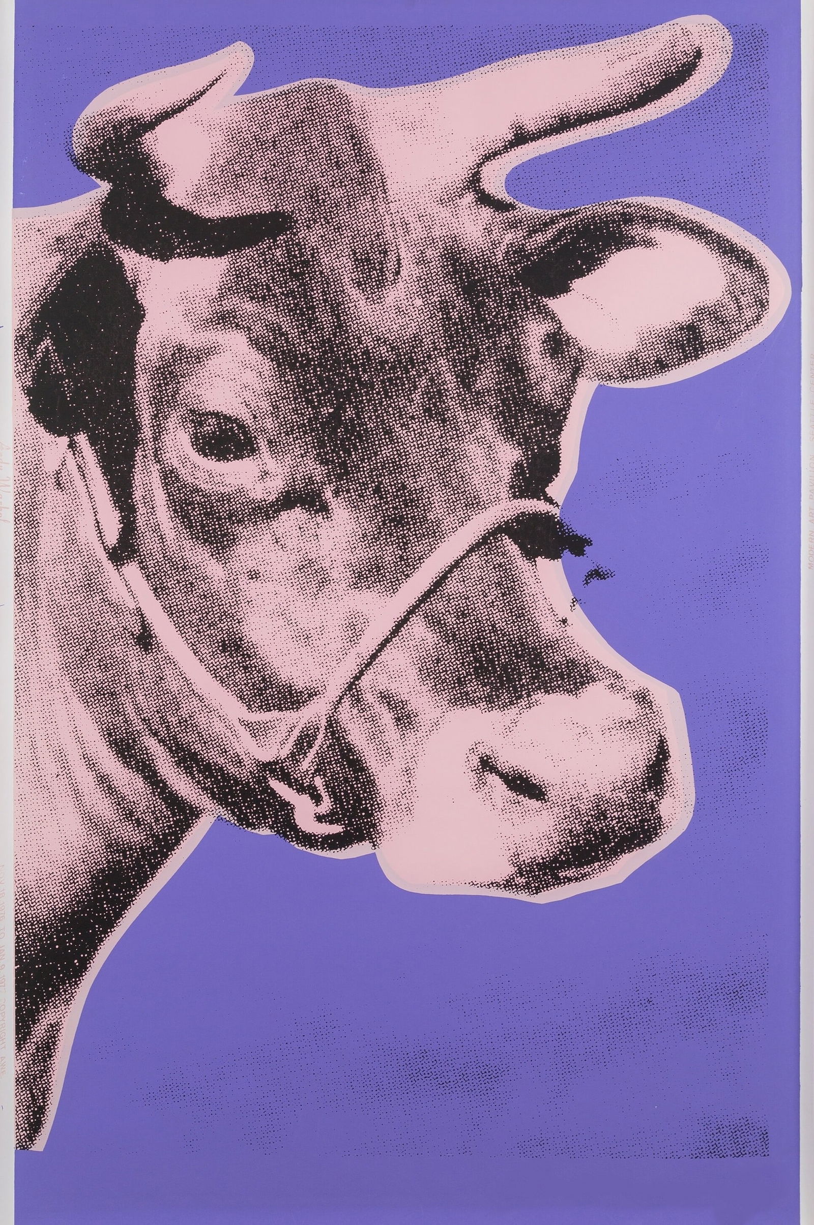 Andy Warhol Cow Poster: Description: Andy Warhol Cow Poster measuring at 46x29 inches Date: 1971 Material: Fine Art Paper Additional Information: Possible reproduction/printed later. Reserve: $90.00 Shipping: Domestic: Flat-