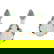 item-211051343=8