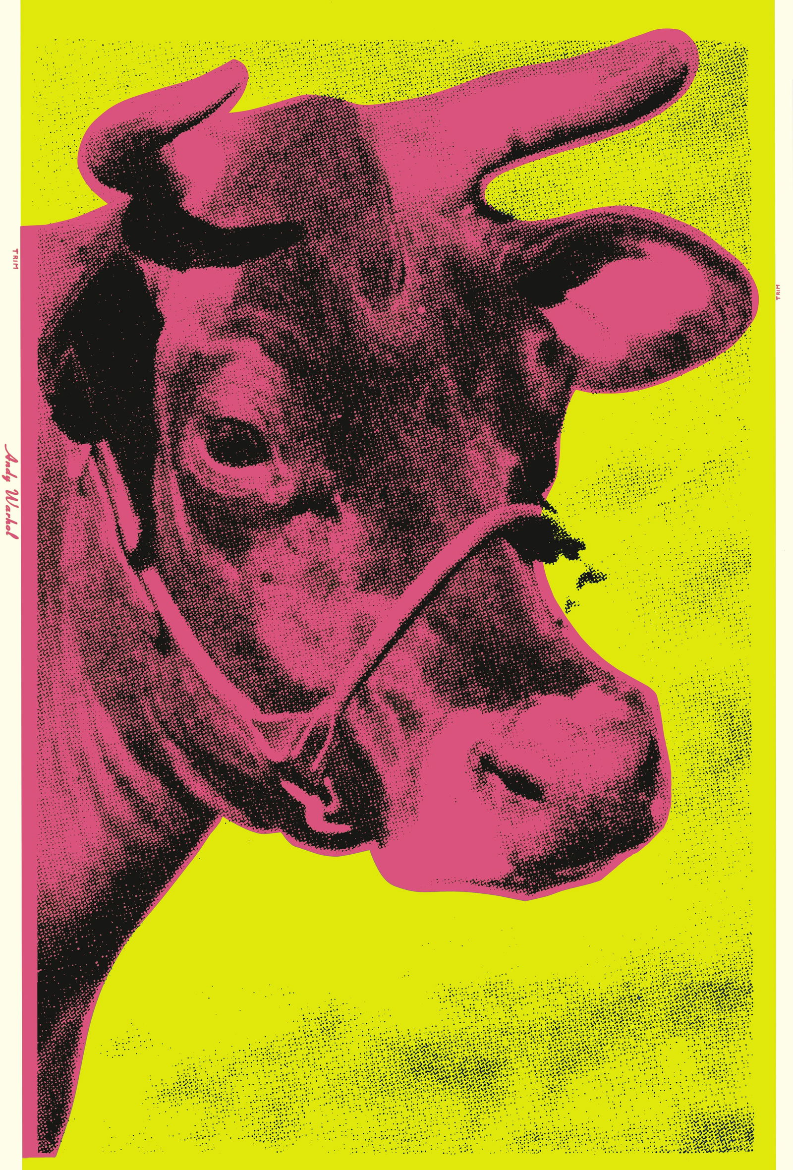 Andy Warhol Cow Poster: Description: Andy Warhol Cow Poster measuring at 46x29 inches Date: 1971 Material: Fine Art Paper Additional Information: Possible Reproduction/Printed Later Reserve: $90.00 Shipping: Domestic: Flat-r