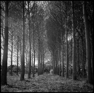 Edition 2/10 - Wickham Skeith III, Suffolk - Silver Gelatin: Title: Edition 2/10 - Wickham Skeith III, Suffolk - Silver Gelatin Photograph Artist: Paul Cooklin Origin: United Kingdom Medium: Photography, Gelatin on Paper Dimensions: 16 W x 20 H x 0.1 D in Ships