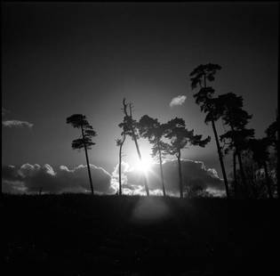 Treeline, Sutton Hoo, Suffolk - Silver Gelatin: Title: Treeline, Sutton Hoo, Suffolk - Silver Gelatin Photograph - Limited Edition of 10 Artist: Paul Cooklin Origin: United Kingdom Medium: Photography, Gelatin on Paper Dimensions: 16 W x 20 H x 0.1
