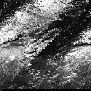 The Pennings, Suffolk - Silver Gelatin: Title: The Pennings, Suffolk - Silver Gelatin Photograph - Limited Edition of 10 Artist: Paul Cooklin Origin: United Kingdom Medium: Photography, Gelatin on Paper Dimensions: 16 W x 20 H x 0.1 D in Sh