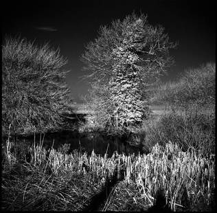 West Thorpe III, Suffolk [Infrared Film] - Silver Gelatin: Title: West Thorpe III, Suffolk [Infrared Film] - Silver Gelatin Photograph - Limited Edition of 10 Artist: Paul Cooklin Origin: United Kingdom Medium: Photography, Gelatin on Paper Dimensions: 16 W x