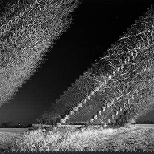 West Thorpe I, Suffolk [Infrared Film] - Silver Gelatin: Title: West Thorpe I, Suffolk [Infrared Film] - Silver Gelatin Photograph - Limited Edition of 10 Artist: Paul Cooklin Origin: United Kingdom Medium: Photography, Gelatin on Paper Dimensions: 16 W x 2