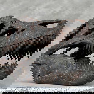 Tyrannosaurus Rex Skull Replica - Museum Quality - Taxidermy replica mount: Title: Tyrannosaurus Rex Skull Replica - Museum Quality - Taxidermy replica mount Maker:Unknown Origin: Indonesia Date/Period:2025 Materials:Resin, Iron Dimensions:Height: 19 cm / 7.4 inches Width: 13