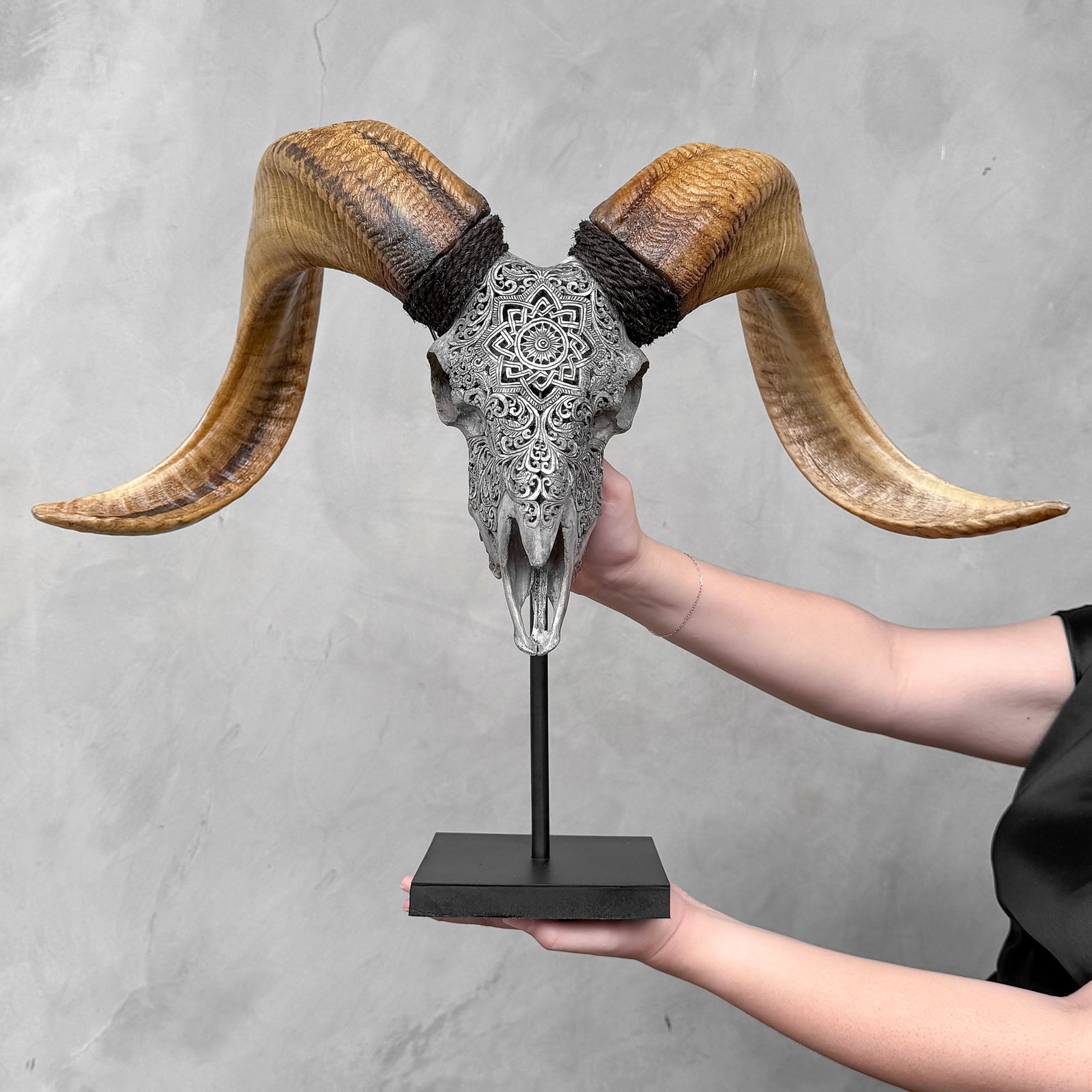 Beautiful large grey ram's skull on a custom stand - Star mandala motif: Title: Beautiful large grey ram's skull on a custom stand - Star mandala motif Maker:Unknown Origin: Indonesia Date/Period:2025 Materials:Ovis Aries, Bone, steel Dimensions:Height: 47 cm / 18.5 inches